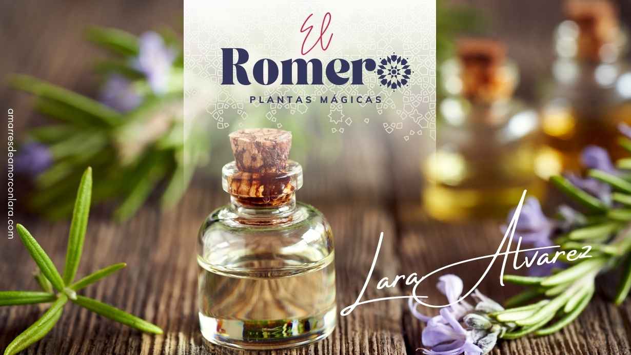 El Romero: usos mágicos y curativos de la planta
