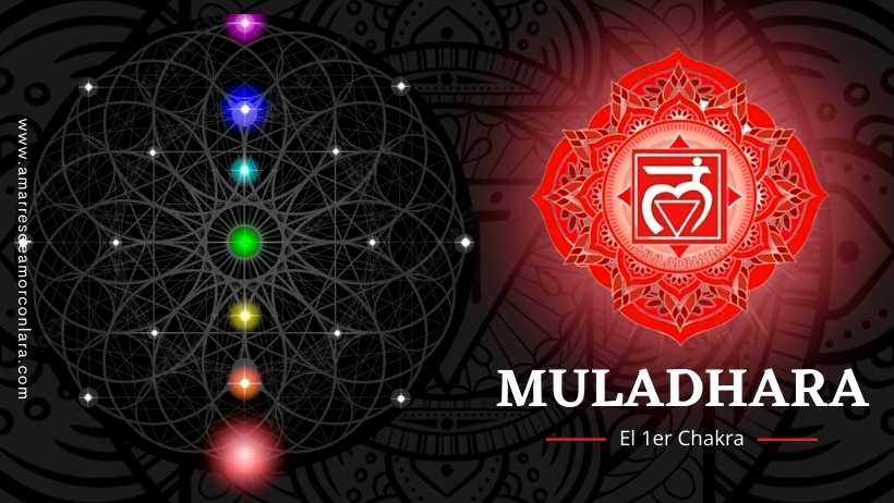 Muladhara: el primer chakra raíz